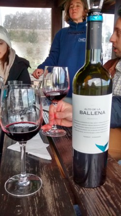 img_20160902_163101094_hdr