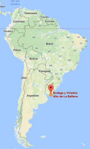 screen-shot-2017-01-07-at-11-40-39